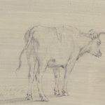 Artcession – dessin XVIIIe vache 2