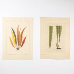 Artcession-Aquarelle Laffitte feuille et tulipe
